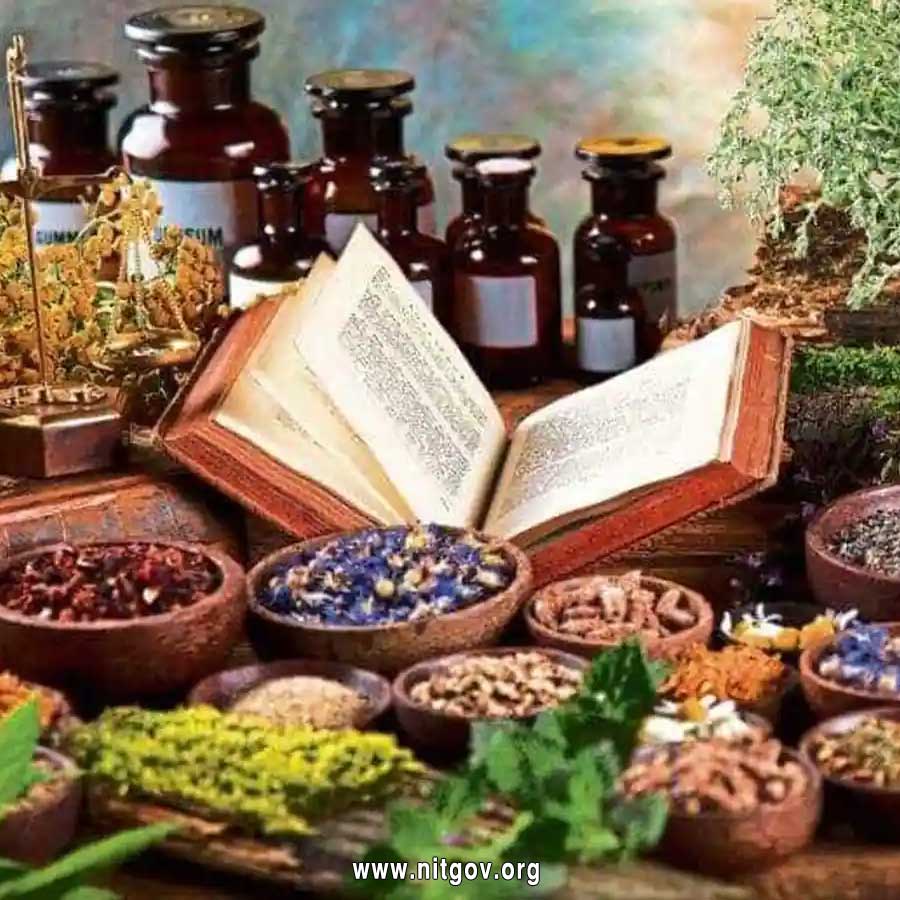 Diploma in Ayurvedic Pharmacy (DAP)